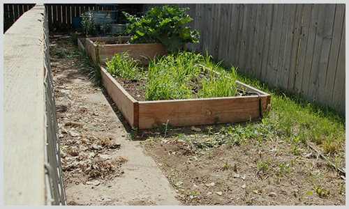raised_bed_001